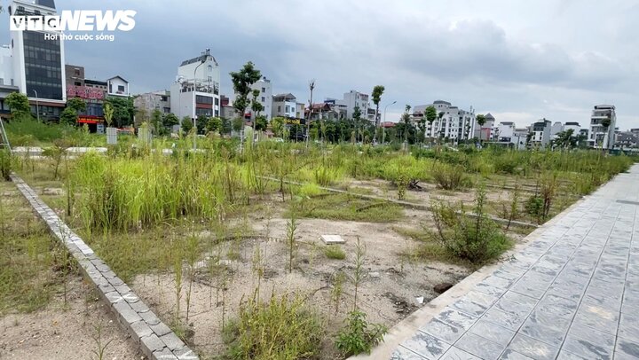 Đất nền Đông Anh, Hà Nội lại nóng bỏng tay: 2 tỷ đồng không mua nổi- Ảnh 1. Đất nền Đông Anh, Hà Nội lại nóng bỏng tay: 2 tỷ đồng không mua nổi- Ảnh 1.