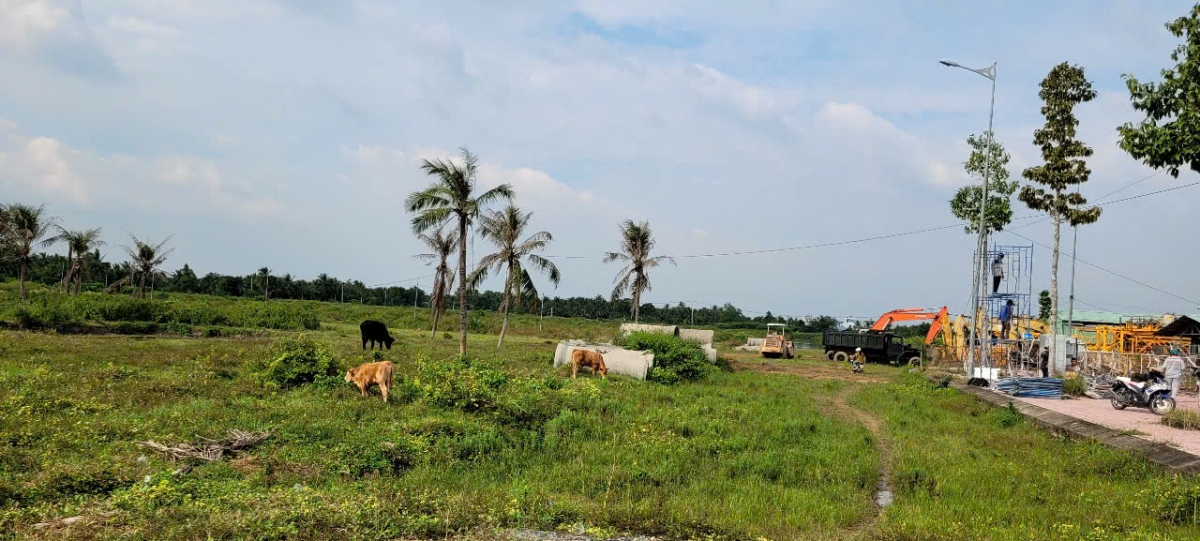 Thanh tra Chính phủ “gọi tên” 53 Đồ án quy hoạch, dự án đầu tư tại Tiền Giang- Ảnh 2.