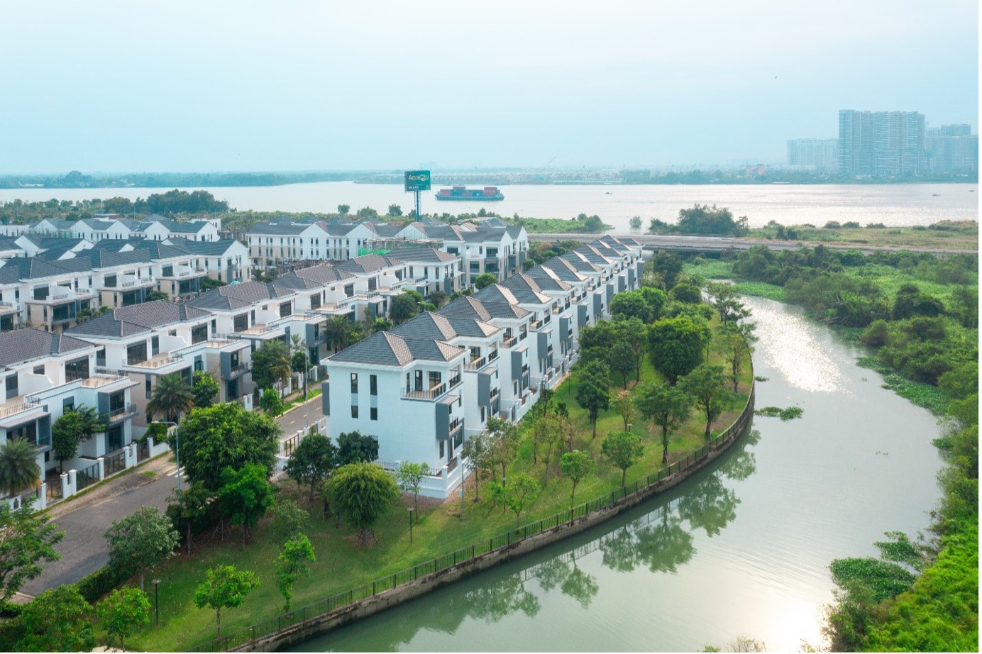 Dự án 