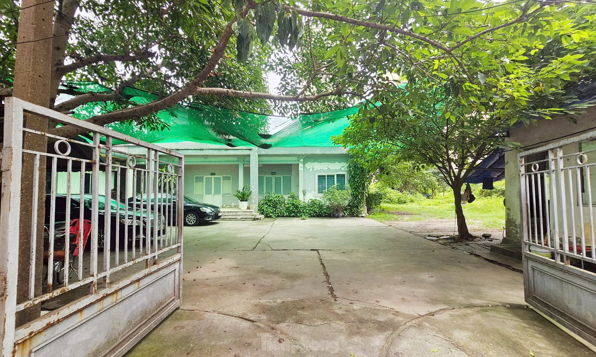 Dự án tháp tài chính gần 4.000 tỷ đồng ở Hà Nội 'hoá rừng' sau 20 năm ôm đất lãng phí- Ảnh 7. Dự án tháp tài chính gần 4.000 tỷ đồng ở Hà Nội 'hoá rừng' sau 20 năm ôm đất lãng phí- Ảnh 7.