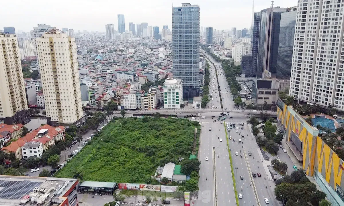 Dự án tháp tài chính gần 4.000 tỷ đồng ở Hà Nội 'hoá rừng' sau 20 năm ôm đất lãng phí- Ảnh 1. Dự án tháp tài chính gần 4.000 tỷ đồng ở Hà Nội 'hoá rừng' sau 20 năm ôm đất lãng phí- Ảnh 1.